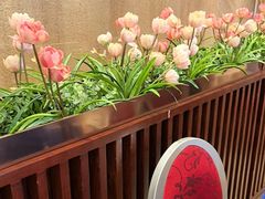 -唐苑酒家·岭南粤菜名店(太古仓店)