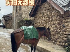 -玉湖村