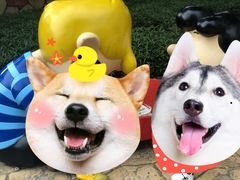 -史努比缤纷世界