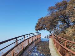-少华山国家森林公园