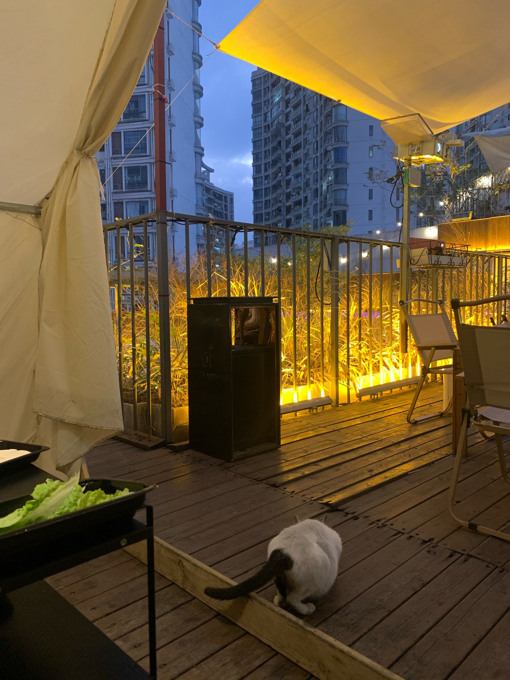 夜景超赞的露台