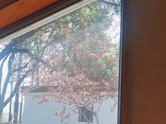 -食膳公园包子铺(烈士公园店)