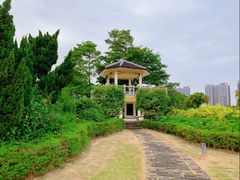 -南沙蒲洲花园