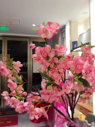 -雅曼妮spa美容养生