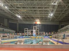 -奥体中心游泳馆