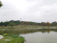-东莞植物园