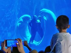 -多彩贵州城极地海洋世界