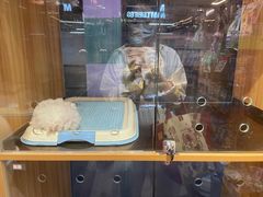 -FAELING PETS美天灵宠物(富力广场店)
