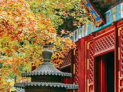 -香山公园