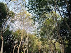 -南京奥林匹克体育中心-体育馆