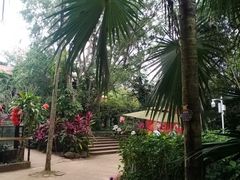 -海南热带野生动植物园