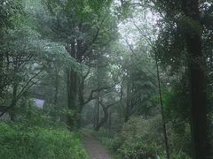 -西湖风景区十里琅珰-五云山