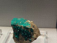 -湖南省地质博物馆