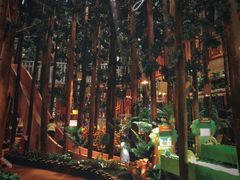 -黄海国家森林公园