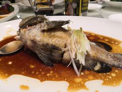 -东海海鲜酒家(中信广场店)