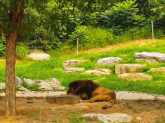 -北京野生动物园