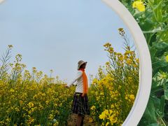 -长洲岛