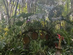-中国科学院西双版纳热带植物园
