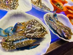 -舒友海鲜姿造(白鹭洲店)