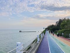 -贡湖湾湿地公园