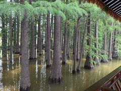 -采石矶景区