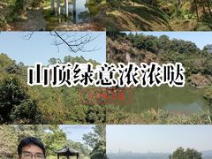 -火炉山森林公园