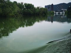 -长兴太湖图影湿地文化园