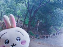 -紫金山山顶公园