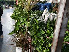 -鑫隆生活广场(阳光好东东店)