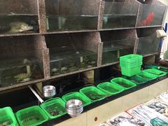 -龙宫海鲜楼(长乐漳港店)