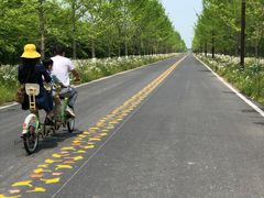 -黄海国家森林公园