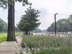 -汉长安城未央宫国家考古遗址公园