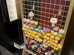 -一绪に和牛寿喜烧(罗湖益田假日店)