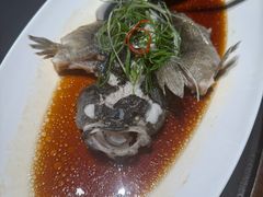 -曼格纳·曼芯馆(杨浦店)
