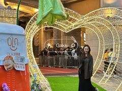 -澳门十六浦索菲特大酒店