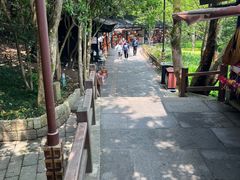 -普陀山风景区-佛顶山