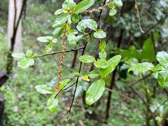 -天目湖御水温泉·度假酒店