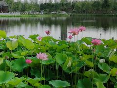 -西海子公园