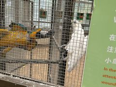 -南宫五洲植物乐园