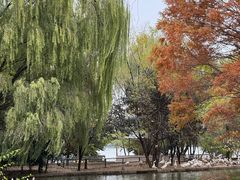-洛阳市隋唐城遗址植物园