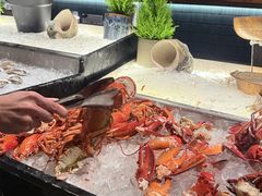 -新加坡乌节希尔顿酒店 (SG Clean)