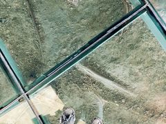 -诸城市恐龙博物馆