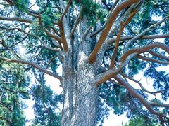 -终南山南五台景区