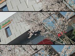 -肯德基(镇湖店)