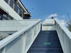 -大队长大灶鹅