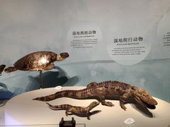 -中国湿地博物馆