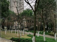 -重庆市江北嘴中央商务区中央公园