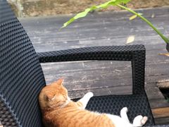 -厦门良筑精品酒店(厦门中山路店)