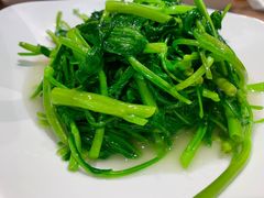 -乔家栅(襄阳南路店)