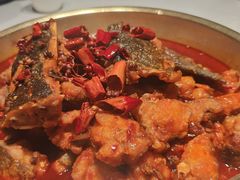 炝锅清江鱼-涿派·炝锅鱼(涿州店)